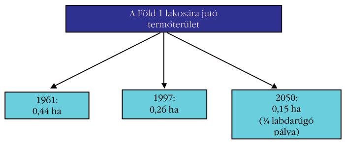 A HÓNAP TÉMÁJA A növénytermesztés és a növénynemesítés kihívásai a XXI. század elején Dr.