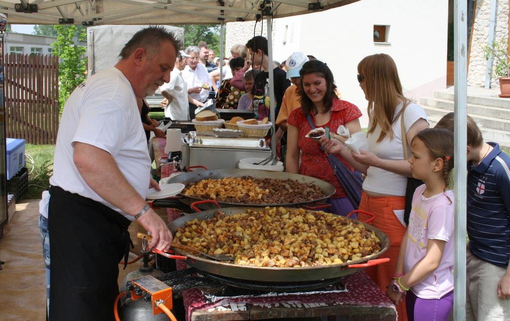 (Makovecz Imre temploma), Mohács, Siklós (vár),