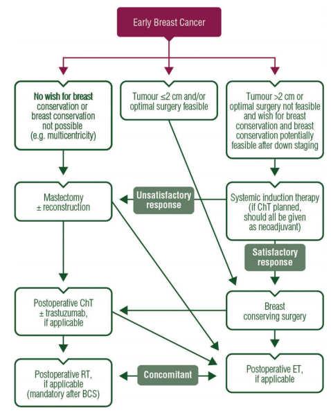 Primarybreastcancer:ESMOClinicalPractice