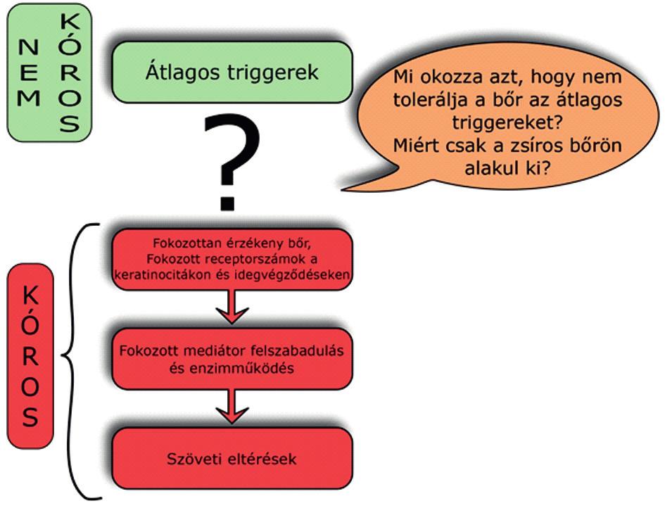 2. ábra A rosacea lényege az arcbőr normálisan fennálló toleranciájának elveszítése, melynek következtében ártalmatlan behatások is gyulladáshoz vezetnek.