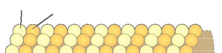 α A mikrotubulus β ~25 nm vastag, üreges protofilamentum 13 protofilamentum merev polimerlánc (perzisztenciahossz: néhány mm!