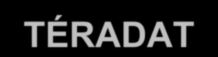 TÉRADAT- INFRASTRUKTÚRÁNK TÉRBELI REFERENCIÁI DR.