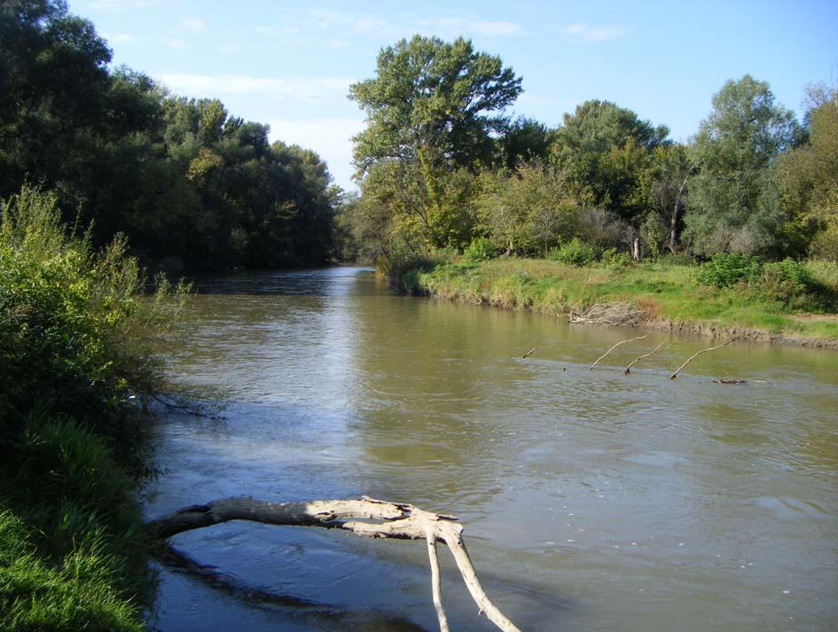 Messstelle 41: Strahlende Brücke (Ragyogó híd), Ostffyasszonyfa
