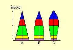 A korcsoportszerkezet alakulása: Növekvı (A) Stabil (B) Hanyatló populáció (C) Születési ütem/natalitás (b): idıegység alatt a populáció egy egyedére esı születések száma: b=összes újszülött (B) /