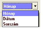 analitika szűrésre, illetve hogy sorszám vagy dátum szerint tegye sorrendbe a program a tételeket. Kiválasztható, hogy milyen valutanemben rögzített tételeket jelenítse meg a program a nyomtatványon.