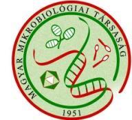 Falus András, az MTA rendes tagja Semmelweis Egyetem, Genetikai, Sejt- és Immunbiológiai Intézet A Staphylococcus aureus bakteriémiák növekvő jelentősége Előadó: Dr.