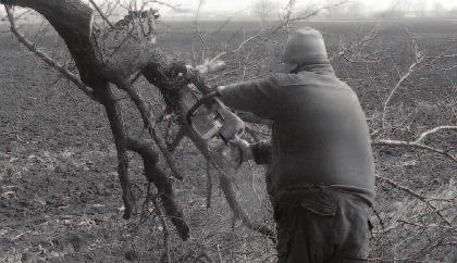 8 z á p i s n i c a 11. Správa starostu obce Starosta obce sa vo svojom vystúpení vrátil k vyhláseniu OcZ ohľadne nastúpenia náhradníka na uvoľnený mandát poslanca OcZ vo Vydranoch formou žrebovania.