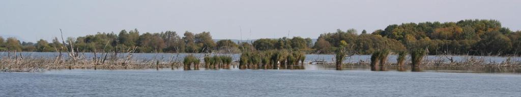 Balaton-felvidéki Nemzeti Park (1997) Részterületek Kis-Balaton Kialakulása szorosan kötődik a Balaton történetéhez; annak legnyugatibb részmedencéjeként a pleisztocénben süllyedt be, majd napjainkra