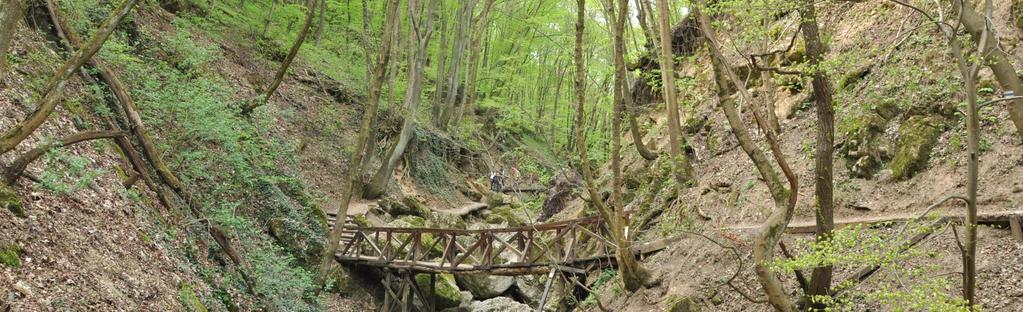 Duna-Ipoly Nemzeti Park (1997) Főbb adatok A nemzeti park mellett az igazgatóság felügyel 8 tájvédelmi körzetet, 33 természetvédelmi területet és 75 Natura 2000 területet.