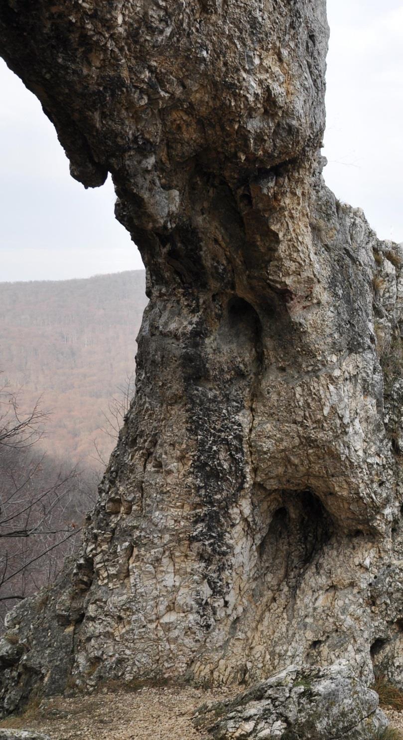 Duna-Ipoly Nemzeti Park (1997) Részterületek Pilis A rögökre darabolódott hegységre a meredek, gyakran kopár mészkő- és dolomitlejtők jellemzőek.