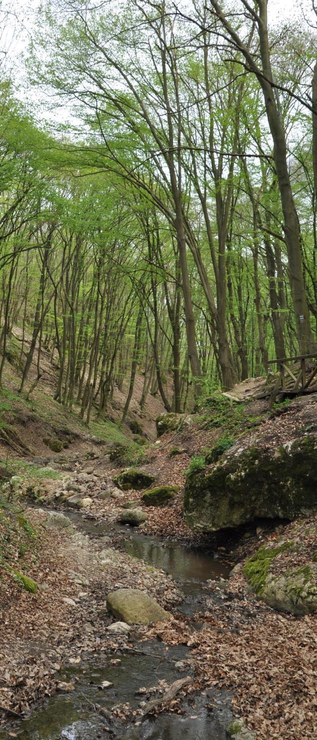 Duna-Ipoly Nemzeti Park / Pilis Duna-Ipoly Nemzeti Park (1997) Részterületek Visegrádi-hegység A hegység növényvilága változatos, területének nagy részét középhegységi lombos erdők borítják.