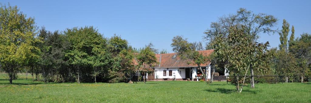 Őrségi Nemzeti Park (2002) Főbb adatok A nemzeti park mellett az igazgatóság felügyel 2 tájvédelmi körzetet, 7 természetvédelmi területet és