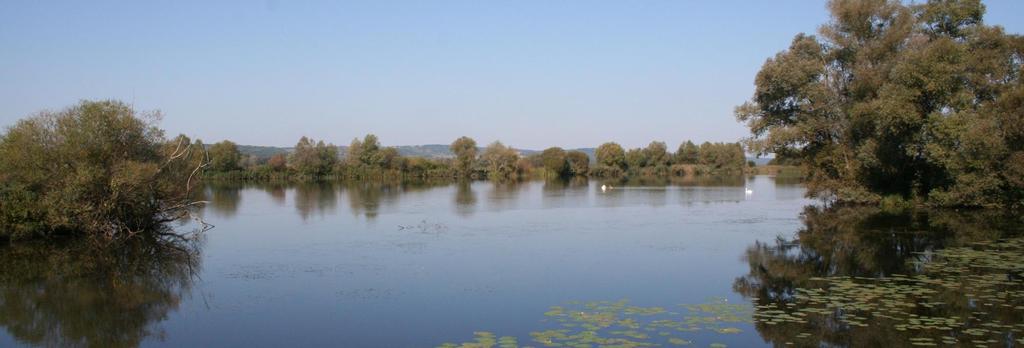 Balaton-felvidéki Nemzeti Park (1997) Főbb adatok A nemzeti park mellett az igazgatóság felügyel 3 tájvédelmi körzetet, 27 természetvédelmi területet és 65 Natura 2000 területet.