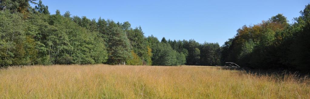 Őrségi Nemzeti Park (2002) Természeti viszonyok Növényvilág A kaszálógyümölcsösök elsősorban a településeken vagy azok közvetlen közelében voltak jellemzőek, míg a kaszálórétek