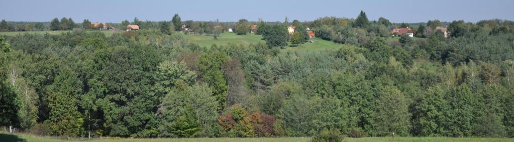 Őrségi Nemzeti Park (2002) Kultúrtörténeti értékek Település szerkezeti, építészeti hagyományok Ezek a néhány házból, a hozzátartozó gazdasági épületekből, udvarokból álló település részek a szerek,