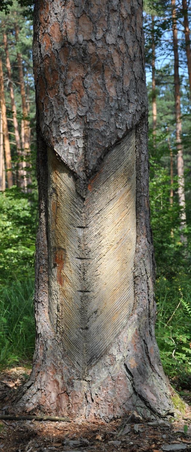 Őrségi Nemzeti Park / Vend-vidék Őrségi Nemzeti Park (2002) Kultúrtörténeti értékek Hagyományos kisparaszti gazdálkodás A tájkép alakulása a gazdálkodással függ össze, a családok önellátásra