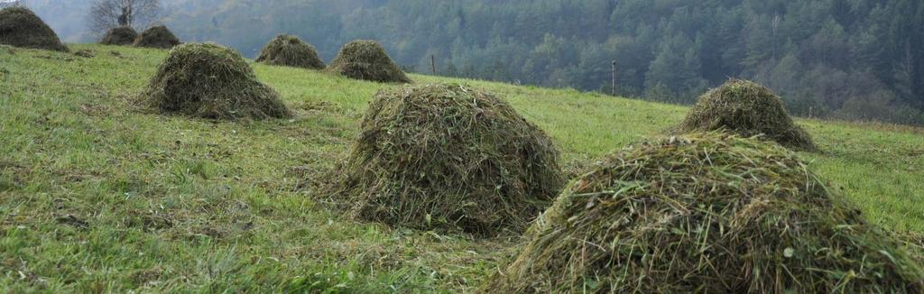 Őrségi Nemzeti Park (2002) Kultúrtörténeti értékek Hagyományos kisparaszti gazdálkodás A völgy talpakban, az összegyűlő vizek hatására dúsfüvű kaszálórétek alakultak ki, ezeket évente kétszer