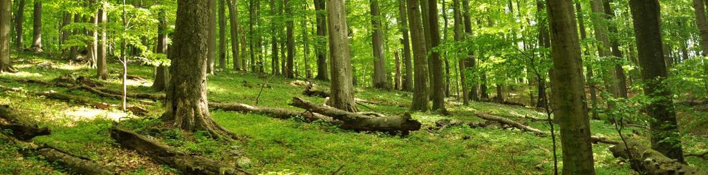 A Natura 2000 területek kihirdetése utáni feladatok Amennyiben a természeti területre gyakorolt hatások vizsgálatának kedvezőtlen eredménye ellenére valamely elsődlegesen fontos, társadalmi vagy