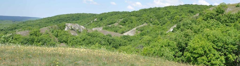 A Natura 2000 területek kihirdetése utáni feladatok Hazánkban a védett természeti területnek nem minősülő Natura 2000 területekkel érintett földrészlet tulajdonosa, vagyonkezelője, használója köteles