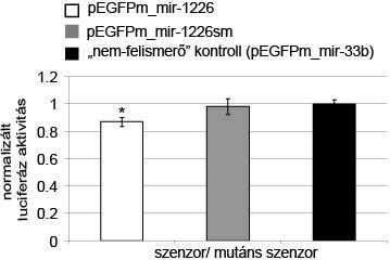 Eredményeink azt mutatják, hogy a mutáns konstrukciók esetében a nem-felismerő mirns kontrollal azonos jelszinteket kapunk (26. ábra).