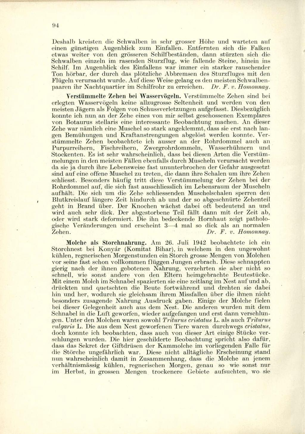 Deshalb kreisten die Schwalben in sehr grosser Höhe und warteten auf einen günstigen Augenblick zum Einfallen.