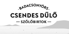 3 Csendes Dűlő Szőlőbirtok 4 a Capella Szőlőbirtok 8257 Badacsonyörs, Hegyalja út 43. Tel.: +36 30/912 9615 info@csendes-dulo.hu www.csendes-dulo.hu 8256 Ábrahámhegy, Szent István völgyi út 11. Tel.: +36 20/935 2378 info@acapellabirtok.