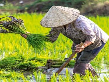 7-8. nap: Hanoi, Ha Long-öböl, Hanoi Reggel magunk mögött hagyjuk a város zaját és Vietnam egyik legszebb természeti szépsége felé vesszük az irányt. A Ha Long öbölbe utazunk, ahol hajónkra szállunk.