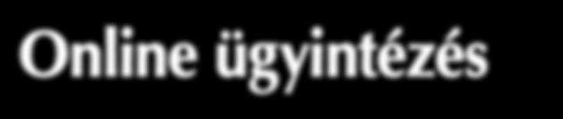 Az egyenleglekérdezéshez és az egyenleglekérdezés alatt található SZJAkalkulátorhoz a patikakártya szám és a