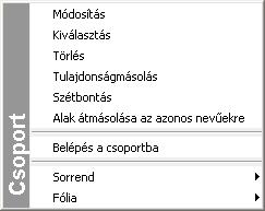 1214 11.9. 2D-s csoport 11.9.1. Csoport tulajdonságai Minden csoporthoz hozzá vannak rendelve általános alaptulajdonságok. Ezek a tulajdonságok globálisan nem változtathatók.