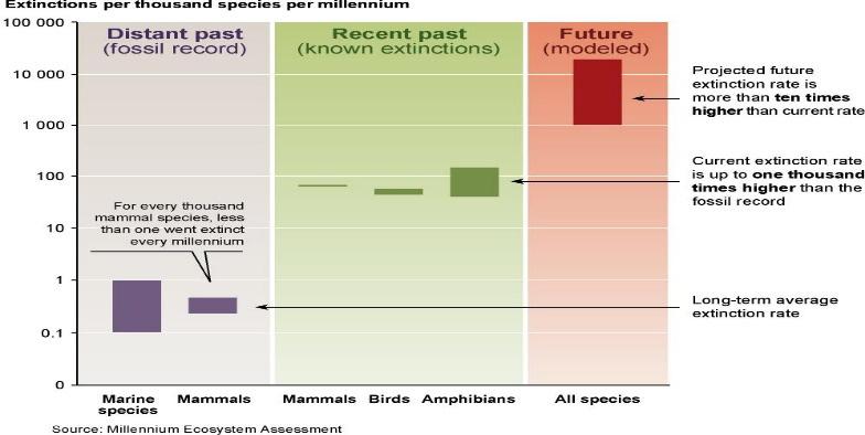 ) Fajok, biodiverzitás Jelentıs és irreverzibilis változások faj-diverzitásban (túlhasználat, élıhelyek zsugorodása, vegyianyag, mg. monokultúrák) antrop.