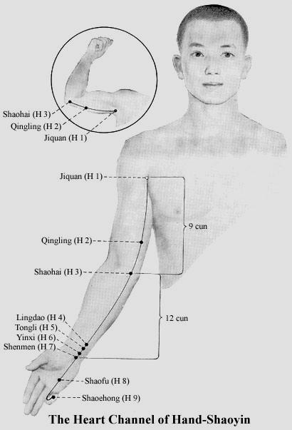 - 15 - L-14 FuJie (A symphysis felső széle felett, vagy a L-12 felett 4 cunnal, a középvonaltól 4 cun laterál).