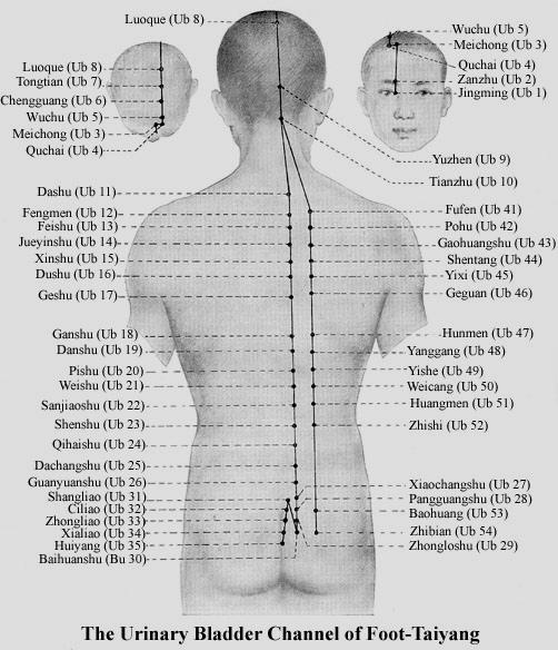 - 22 - Hh-9: YuZhen a protuberancia occipitalis felsö határának magasságában 4 cunnal a Hh 8 mögött és alatt, 1,3 cunnal a középvonaltól kétoldalt Hh-10: TianZhu a középvonaltól laterálisan 1,5