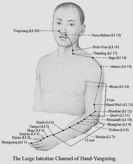 -3- T10 YuJi ( jücsi )Tűz a hüvelykujji párna (thenar) domborulatán az első kézközépcsont középpontjánál, a vörös és fehér bőr határán.