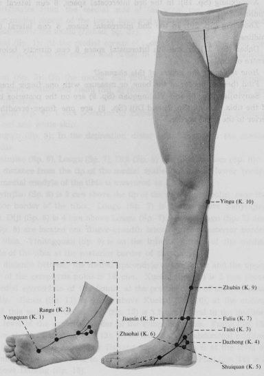 - 31 - V-24 : LingXu Az 3. intercostalis térben, a középvonaltól 2 cun laterálisan V-25 : ShenCang Az 2.