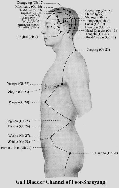 - 40 - Eh- 4: HanYan A regio temporalis hajhatárán, 1 cunnal a Gy 8-tól disztálisan Eh- 5: XuanLu A Gy8 és Eh7 pontokat összekötö vonal felezőjében, 0,5 cunnal a Gy 8-töl disztálisan Eh- 6: XuanLi A