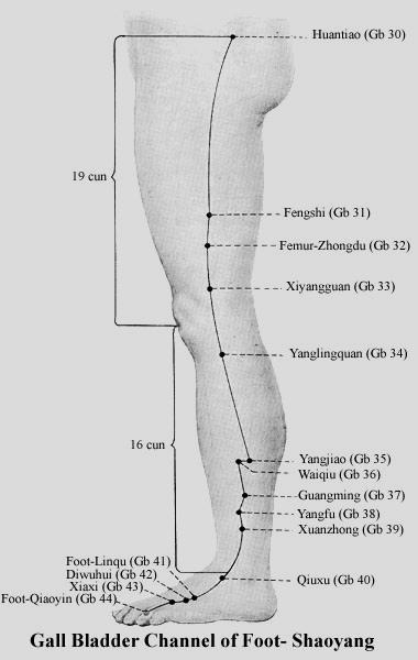 - 41 - Eh-12: Feji WanGu A processus mastoideus mögött és alatt, egy kis mélyedésben Eh-13: BenShen A regio frontálisban, a laterális hajhatárnál Eh-14: YangBai fej megvilágítója)(a szemöldök
