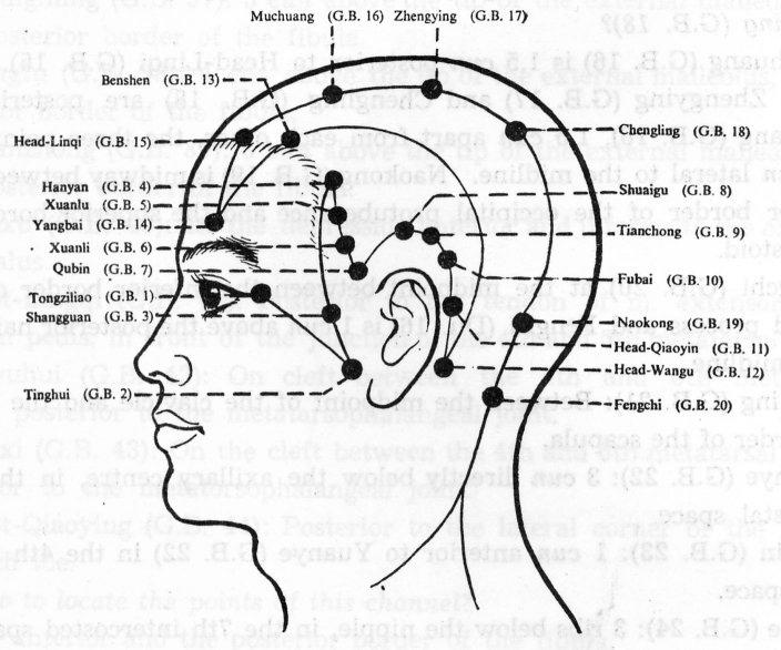 - 44 - Eh-34: YangLingQuan (Yang dombi forrás)- Az izmok és inak Befolyásoló pontja, Föld pont.