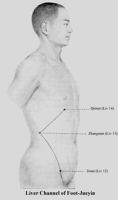 - 46 - Eh-40: QiuXu - Yuan-Forrás pont.fa pont. A külső boka alatt és előtt levő mélyedésben, a musc.extensor digit.long.inának latzerális oldalán.(izomsorvadásnál fontos). Eh-41: Zu-LinQi -Fa pont.