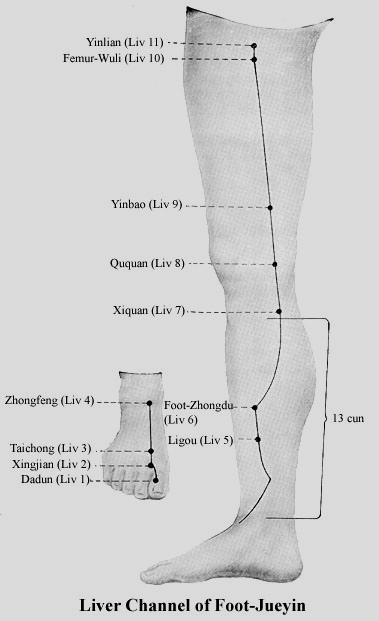 - 47 - M- 5: Ligou Luo-Összekötő pont A mediális boka felett 5 cunnal, a tibia mediális felszínén, annak mediális határa közelében M- 6: Zhongdu -Xi-Cleft pont A mediális boka felett 7 cunnal, a