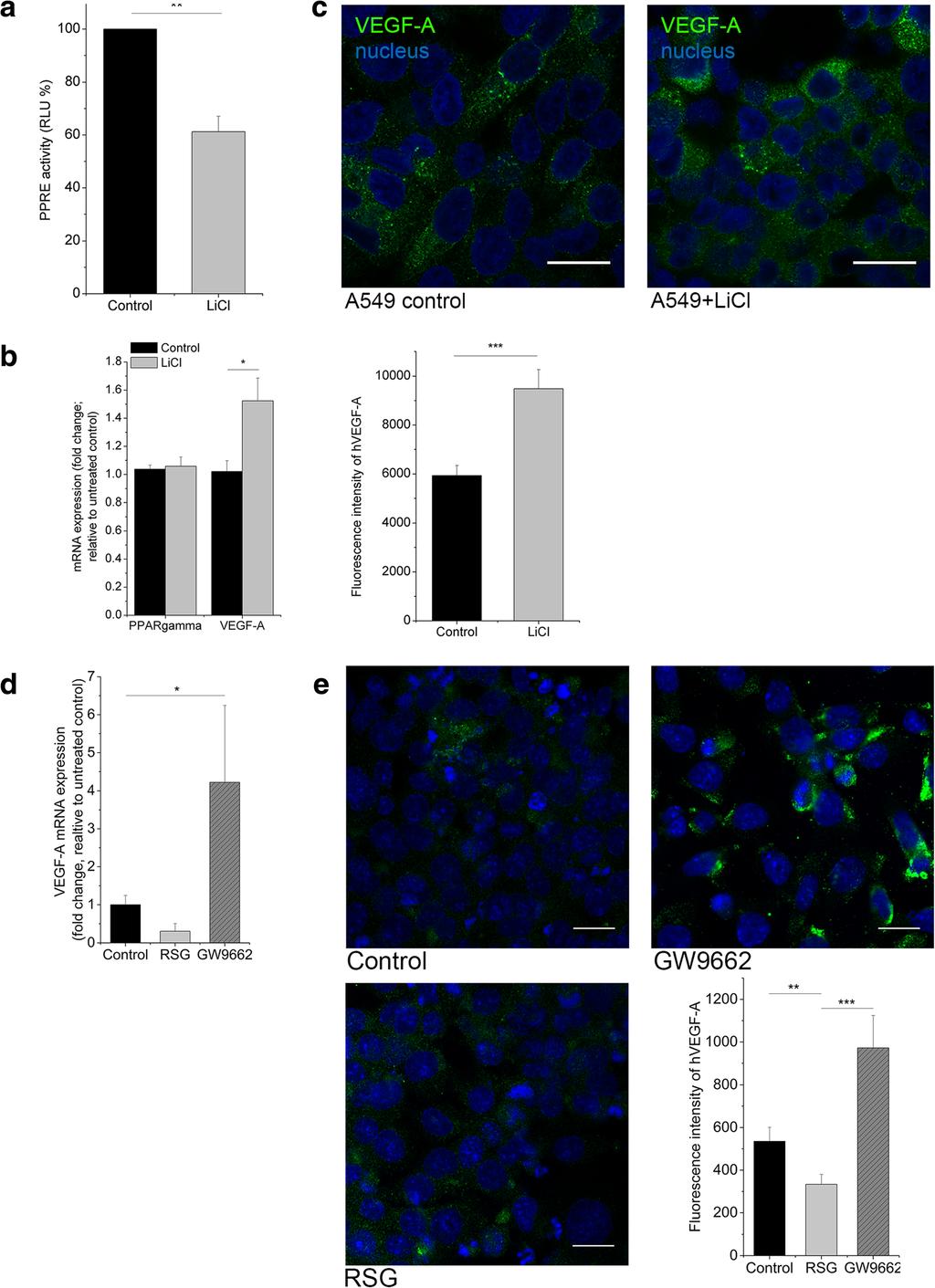 Rapp et al. BMC Cancer (2016) 16:915 Fig.