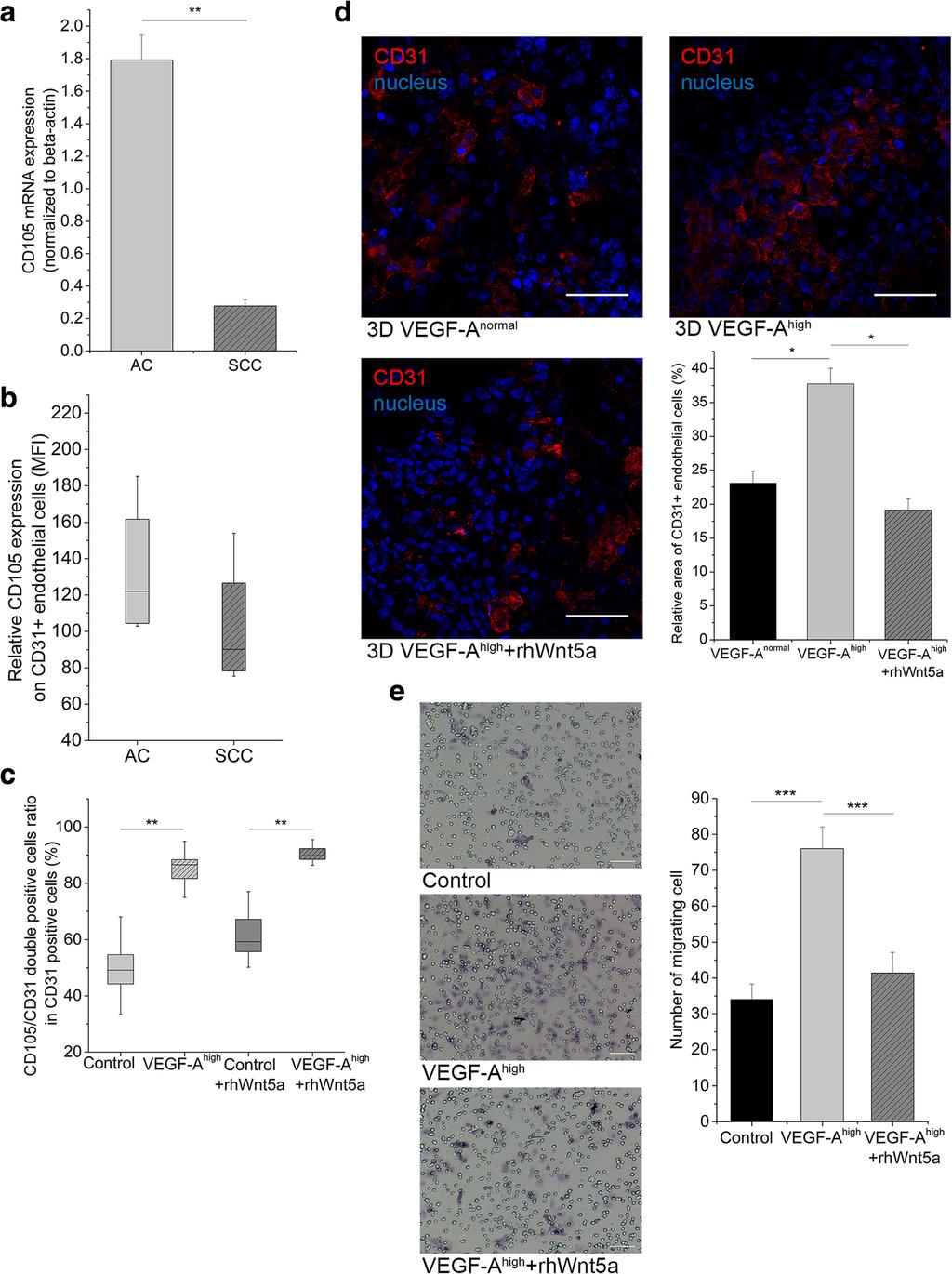 Rapp et al. BMC Cancer (2016) 16:915 Fig.