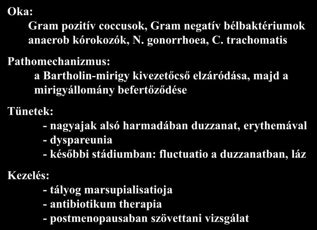 Bartholin-mirigy fertőzése Oka: Gram pozitív coccusok, Gram negatív bélbaktériumok anaerob kórokozók, N. gonorrhoea, C.