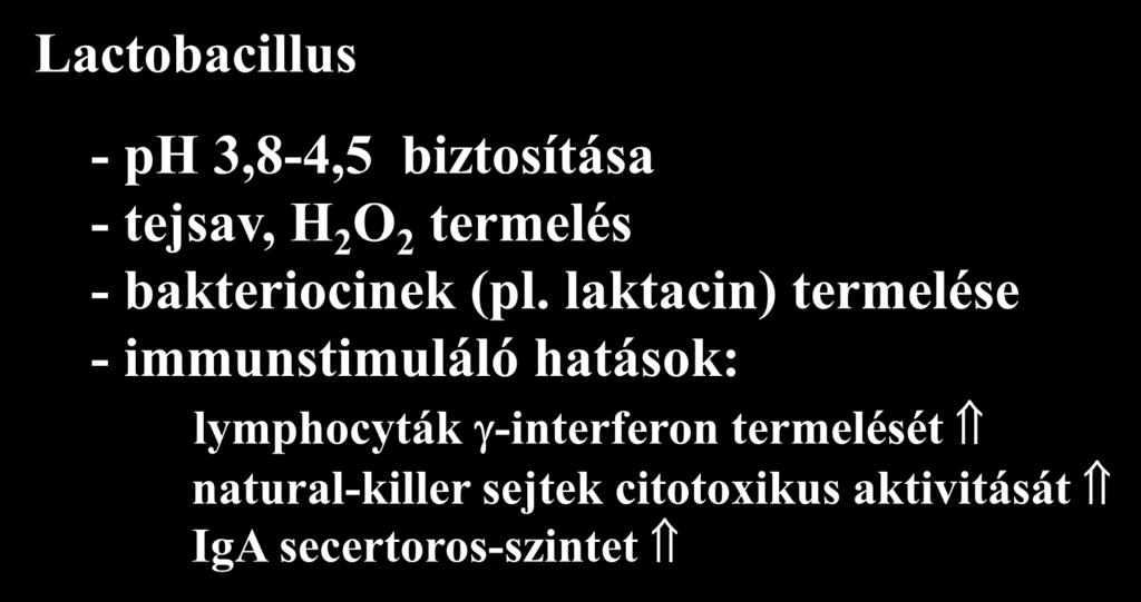 A hüvely nem specifikus védőrendszere Lactobacillus - ph 3,8-4,5 biztosítása - tejsav, H 2 O 2 termelés - bakteriocinek (pl.