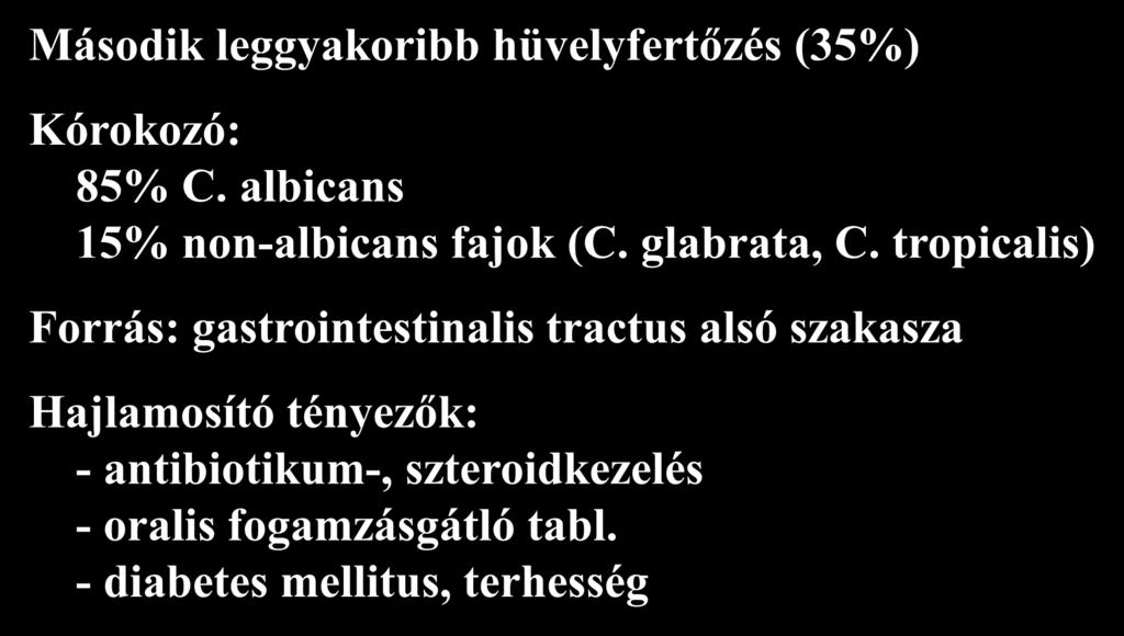 Gombás hüvelyfertőzés (1.) (vulvovaginalis candidiasis) Második leggyakoribb hüvelyfertőzés (35%) Kórokozó: 85% C. albicans 15% non-albicans fajok (C. glabrata, C.