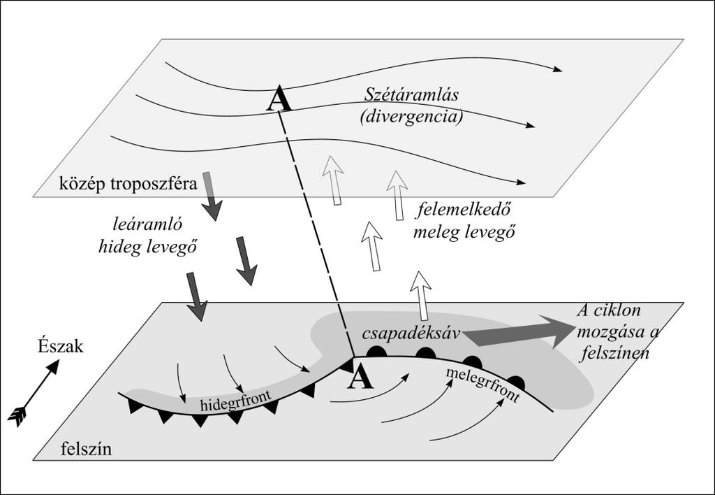 Mérsékelt szélességek időjárási rendszerei 9.5. ábra: Fejlődő mérsékeltövi ciklon vertikális szerkezete. A ciklon középpontja felé áramló levegő felemelkedik.