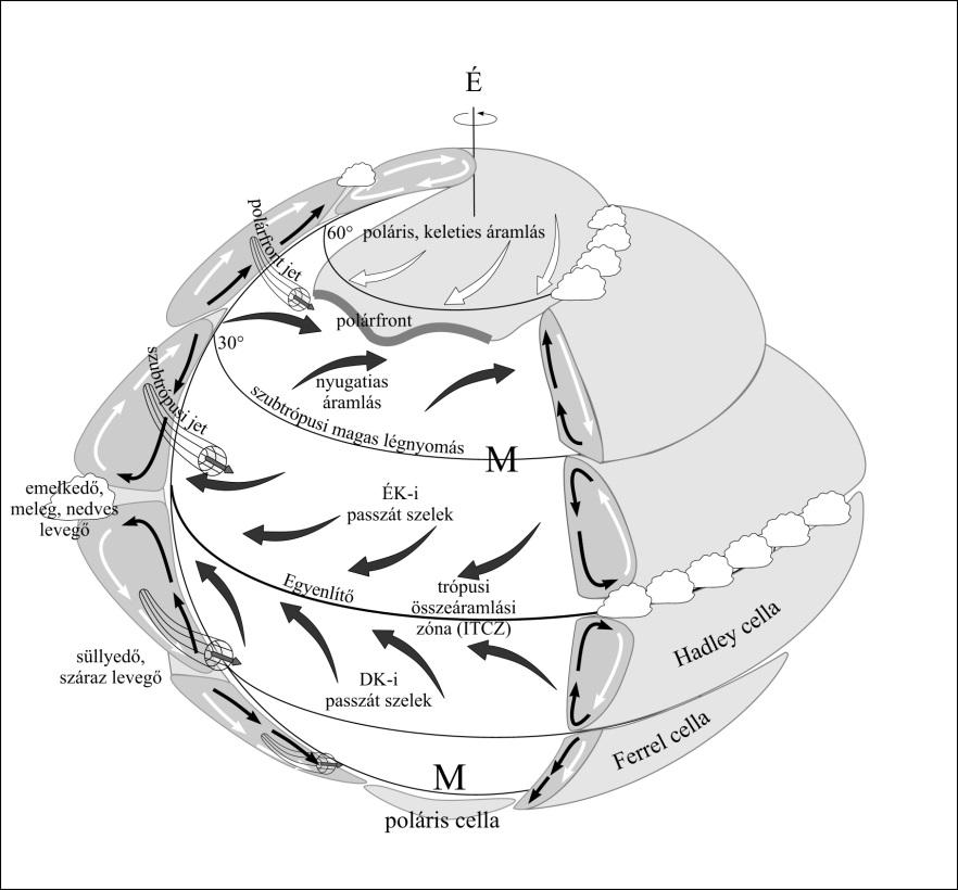 Az általános légkörzés 7.3. ábra: A forgó Föld idealizált háromcellás cirkulációs modellje 7.4.