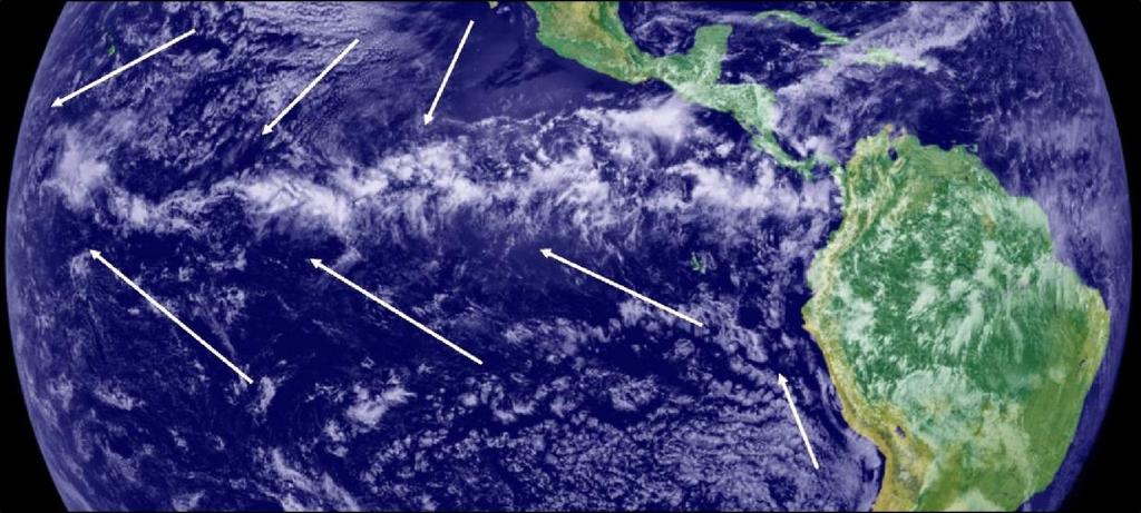 Angol nyelvterületen kereskedelmi szeleknek (trade winds) hívják e szélövet arra utalva, hogy az óceánt átszelő kereskedelmi utakat ebben az övben volt érdemes tervezni, hiszen sem a szélcsendes ló