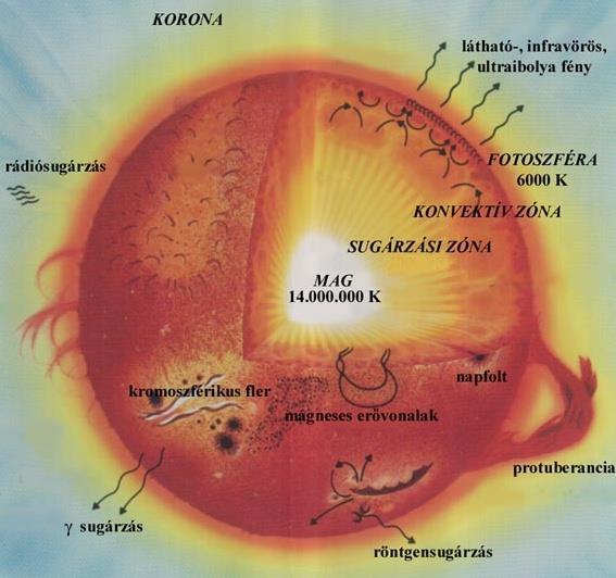 A Nap szerkezete 1. A centrális magban kb. 15 millió C a hőmérséklet. Az atomok plazma állapotban vannak. Itt zajlik a magfúzió. A hidrogén és a hélium aránya a magban kb. 49-49 %. 2.