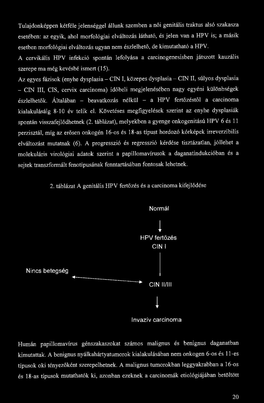 Tulajdonképpen kétféle jelenséggel állunk szemben a női genitális traktus alsó szakasza esetében: az egyik, ahol morfológiai elváltozás látható, és jelen van a HPV is; a másik esetben morfológiai