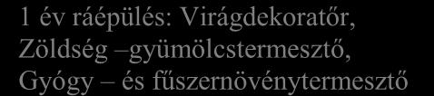 évfolyam KSZ/12 évfolyam Dísznövénykertész, Kertész, Virágkötő és virágkereskedő Szakmai vizsga Szakmai vizsga 12/1. 12/2.